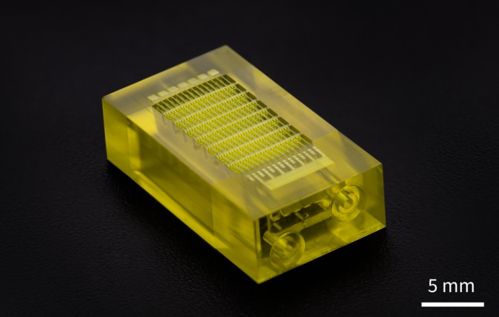 3D打印生物支架、血管网络 渝企掘金全球医疗市场
